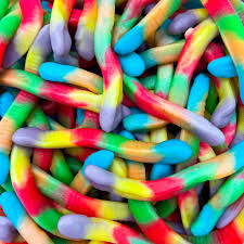 VERS DE TERRE LISSE 100g
