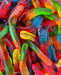 VERS DE TERRE LISSE 100g