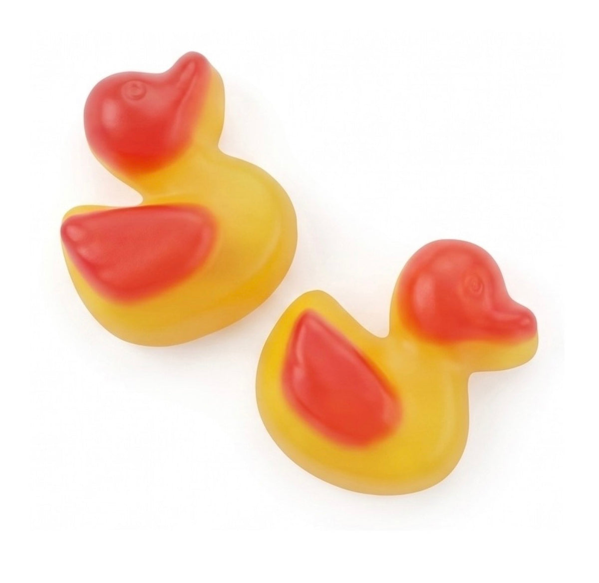 CANARD LISSE 100g