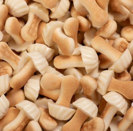 CHAMPIGNON AU CHOCOLAT BLANC 100G