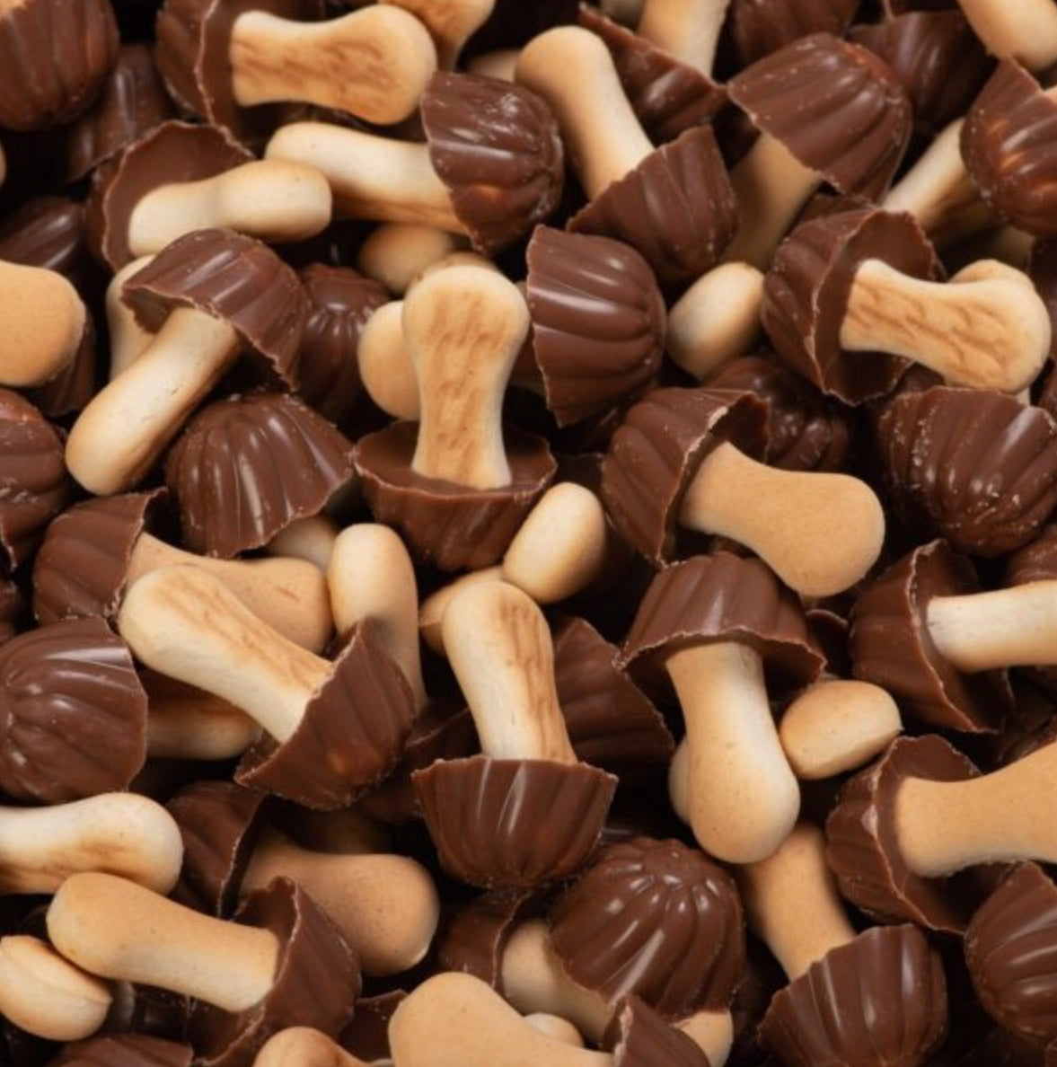CHAMPIGNON AU CHOCOLAT CARAMEL 100G