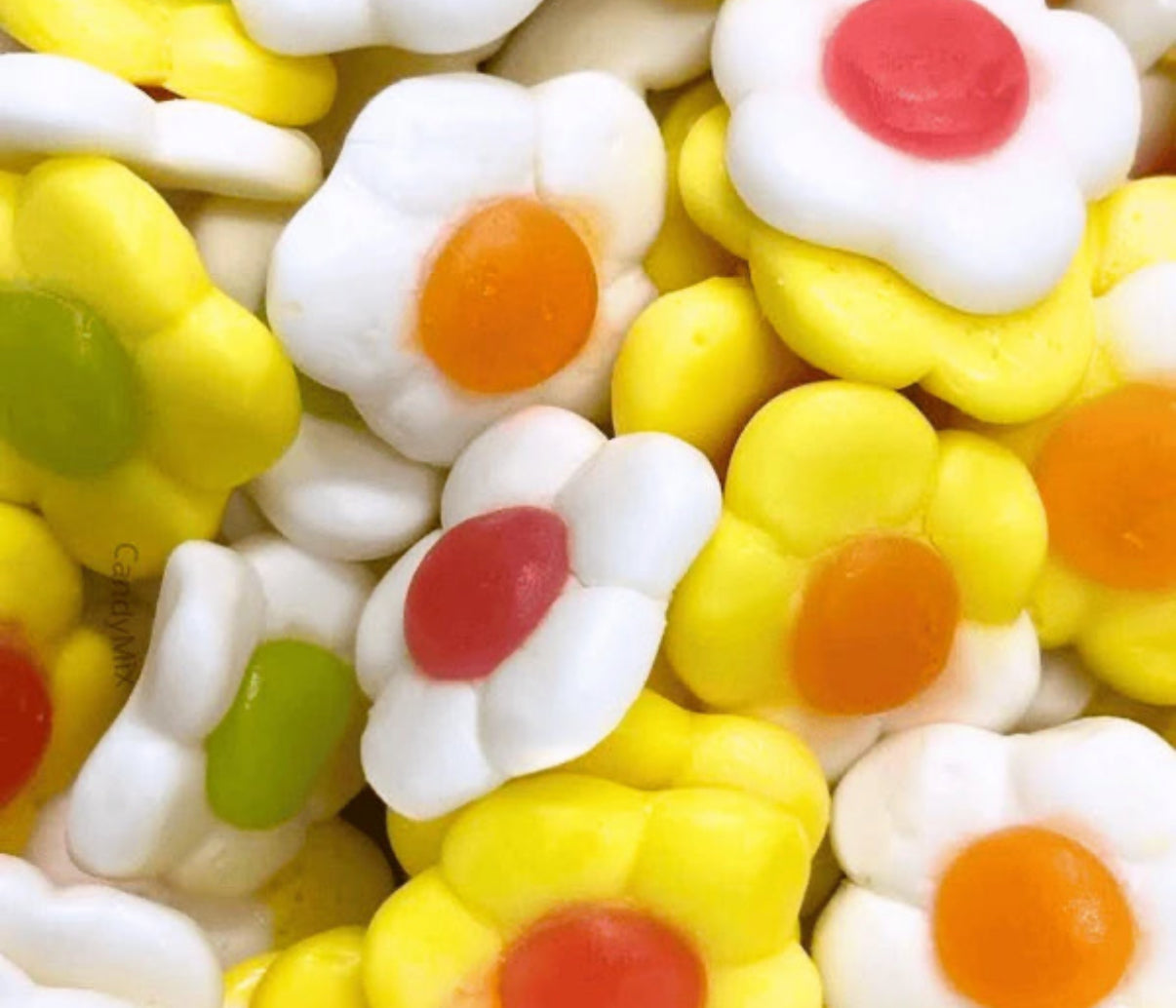 MARGUERITE LISSE 100g