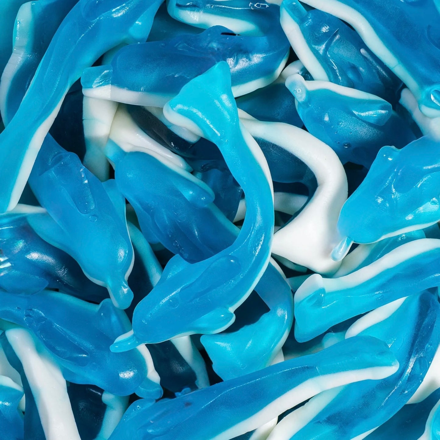 DAUPHIN XL LISSE 100g