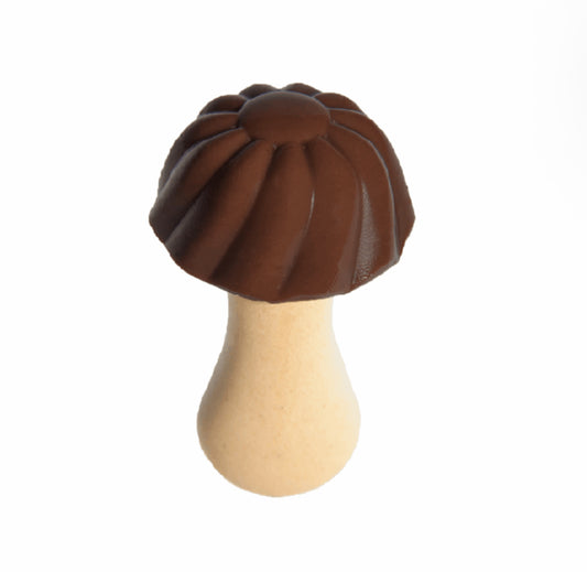 CHAMPIGNON AU CHOCOLAT 100G