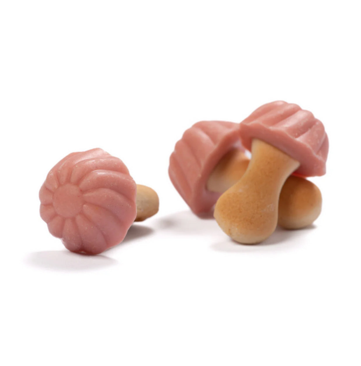 CHAMPIGNON A LA FRAISE 100G