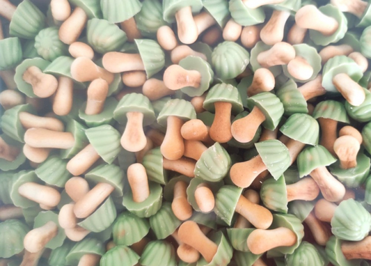 CHAMPIGNON A LA PISTACHE 100G