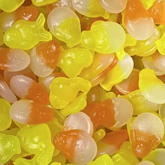 POUSSIN LISSE 100g