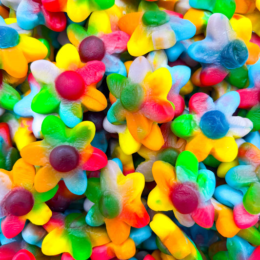 FLEUR LISSE MULTICOLORE 100g