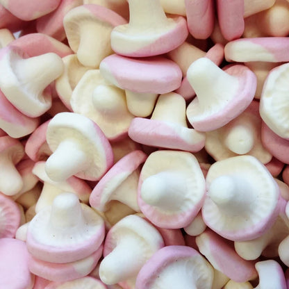 CHAMPIGNON LISSE 100g